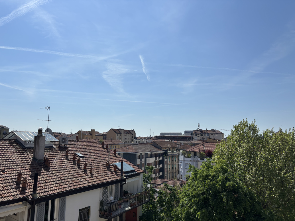 IMG_0153.jpeg