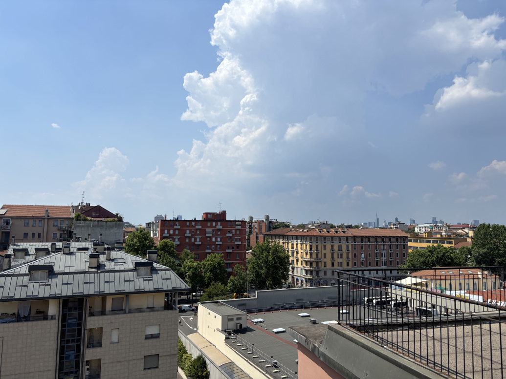 IMG_2041.jpg