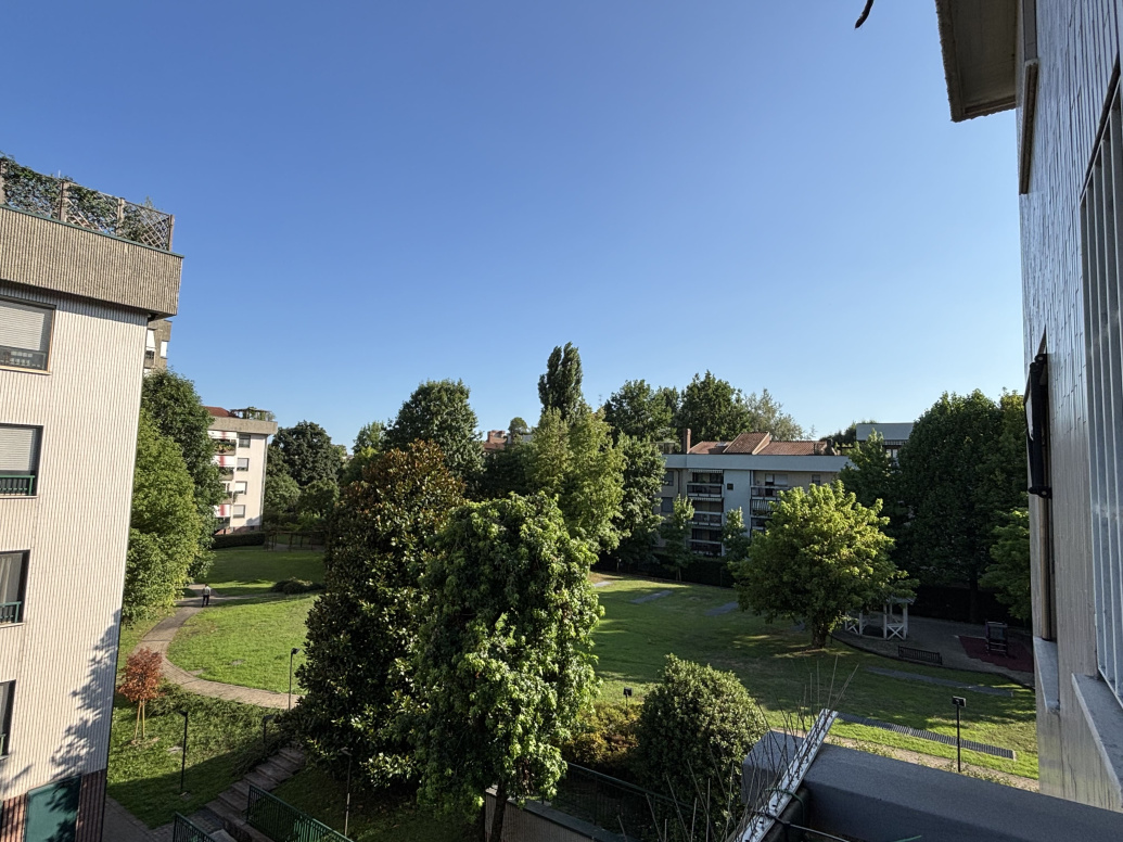 IMG_2268.jpg